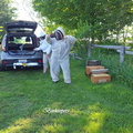 Beekeepers2