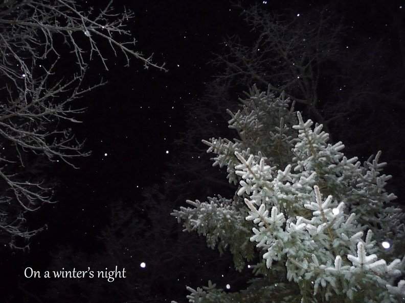 A winter\'s night copy.jpg