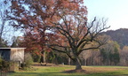 Amis Cemetery